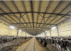 畜牧業(yè)廠房車間